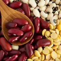 آیا حبوبات می‌تواند اسیداوریک را بالا ببرد؟