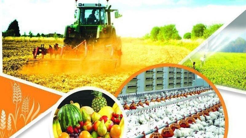 توسعه صنایع تبدیلی و تکمیلی از اولویت‌های جهاد کشاورزی کردستان است