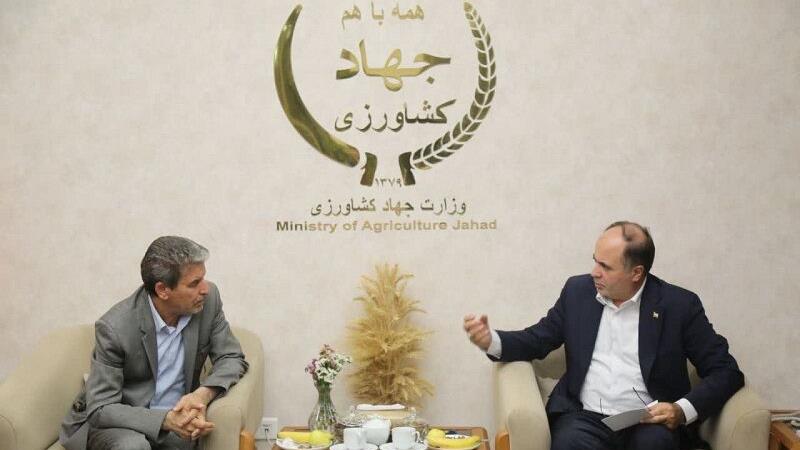 وزیر جهاد: سهمیه ویژه نهاده‌های دامی به خراسان شمالی تخصیص می‌یابد