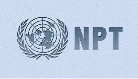 لاهوتی: امیدواریم جمهوری اسلامی مجبور به خروج از NPT  نشود