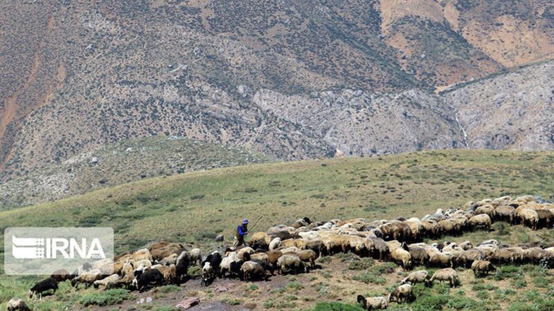 وعده استاندار سمنان برای پیگیری و رفع دغدغههای عشایر از وزیر جهادکشاورزی