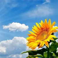 افزایش دمای هوای همدان در پایان هفته جاری