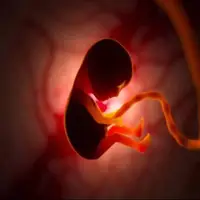 نقش سیستم ایمنی بدن در باروری و ناباروری