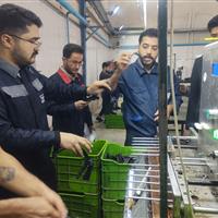 فرماندار: بیجار قطب قطعه‌سازی خودرو در کردستان است