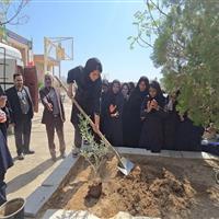 ۴۳۴ پویش درخت‌کاری در خراسان جنوبی اجرا شد