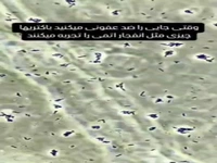 ویدیویی از انفجار باکتری‌ها هنگام ضد عفونی کردن!