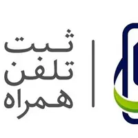 آغاز برخورد گمرک با تخلفات رجیستری مسافری