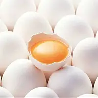 ردپای آنتی‌بیوتیک‌ها در تخم‌مرغ