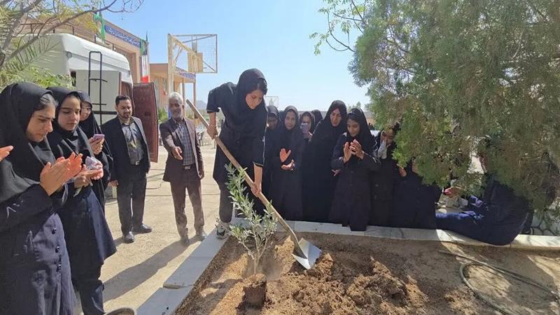 ۴۳۴ پویش درخت‌کاری در خراسان جنوبی اجرا شد