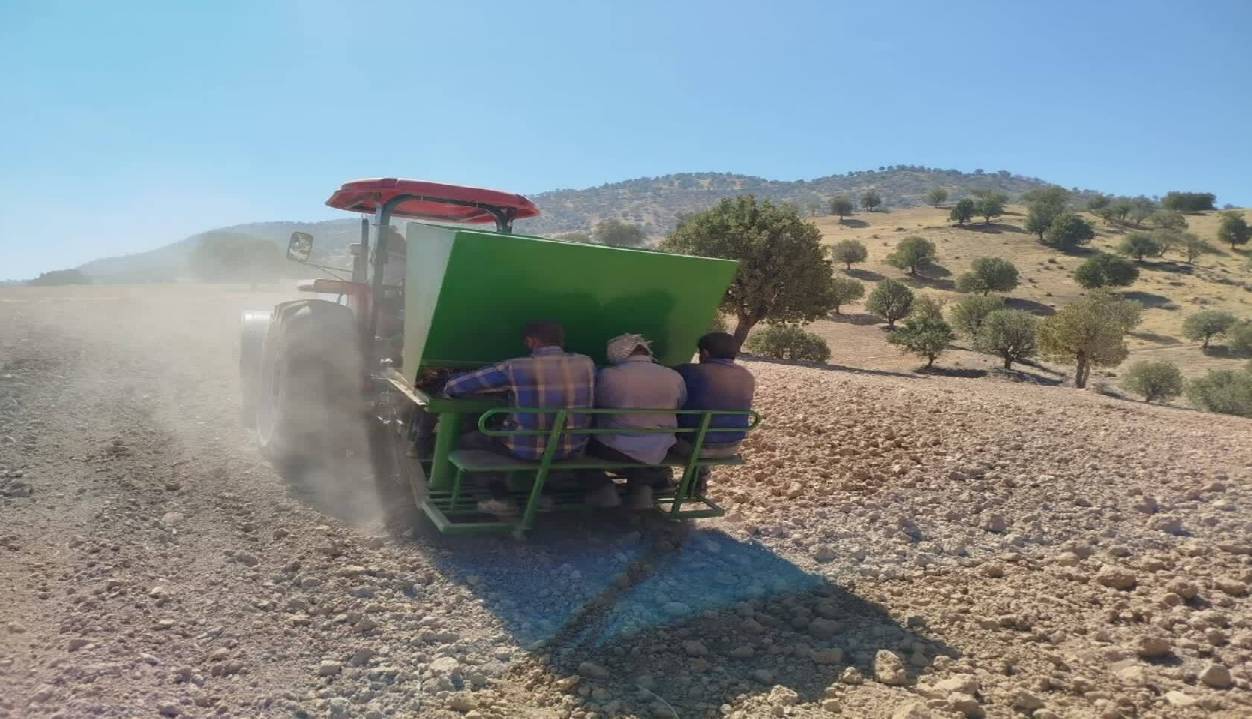 کشت نیمه‌مکانیزه زعفران برای نخستین بار در دزپارت