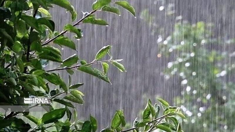 بارش ۲۰ میلیمتر باران در استان اردبیل