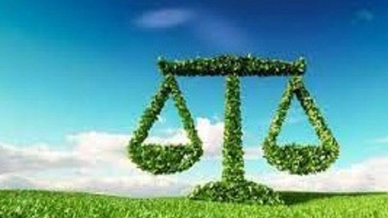 متخلفان زیست محیطی در بیله‌سوار به کاشت درخت محکوم شدند