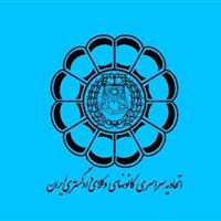 اسکودا: بلاگری که ویدئوی هنجارشکنانه منتشر کرد، پروانه وکالت ندارد