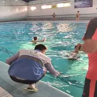 پلمب یک استخر عمومی در دورود
