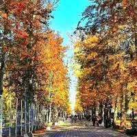  آسمان گیلان آفتابی می‌شود