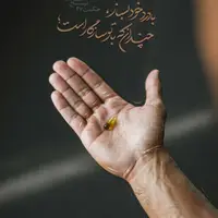 حکمت/ با درد خود بساز