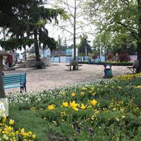 بهداشت محیط، سنگ بنای سلامت جامعه است