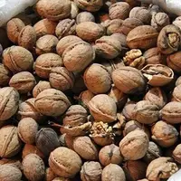 گردوی تویسرکان کیلو چند؟