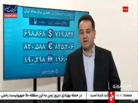 جزئیات تامین  ارز وارداتی کشور از زبان  سخنگوی مرکز مبادله ارز و طلای ایران