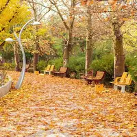 ۵ مقصد متفاوت برای یک روز تهران‌گردی در پاییز