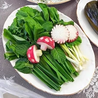 تزئین سبزی خوردن برای مهمونی
