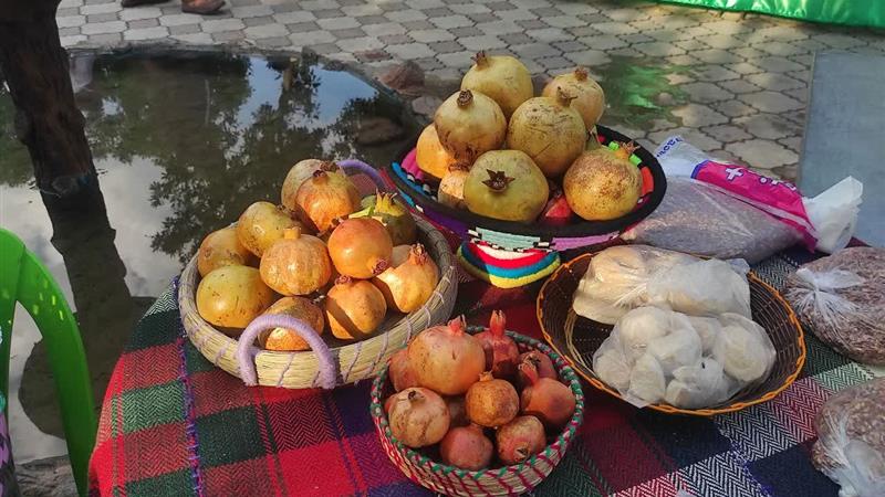 چهارمین جشنواره ملی انار ساوه با رنگوبوی اقوام ایرانی برگزار میشود