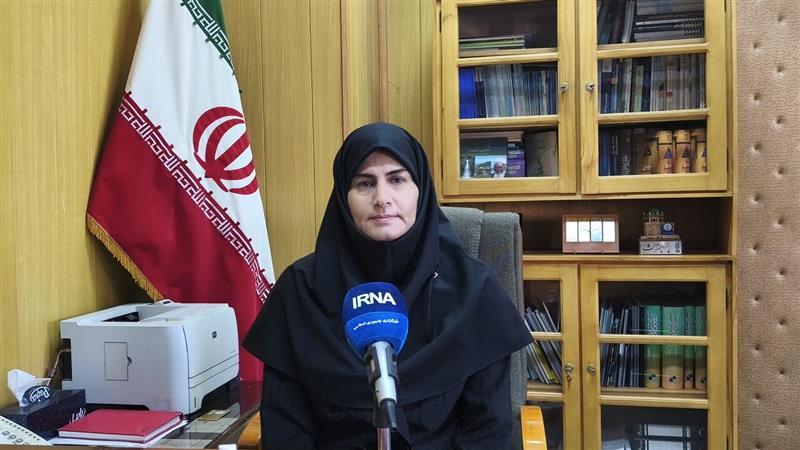 بهرهگیری از بخش خصوصی برای تأمین مالی طرحها در زنجان مغفول مانده است