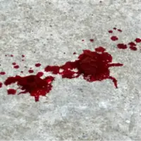 اعتراف زن جوان به قتل خواستگار مجازی