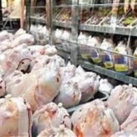 قیمت مرغ در میادین تره‌بار 112 هزار تومان