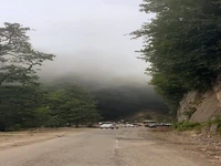 دالخانی ؛زیباترین تونل جنگلی ایران