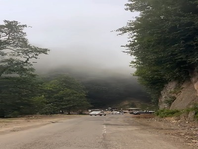 دالخانی ؛زیباترین تونل جنگلی ایران