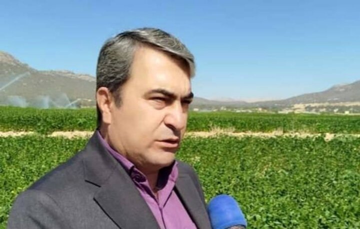 آغاز کشت پاییزه در اراضی کشاورزی کهگیلویه و بویراحمد