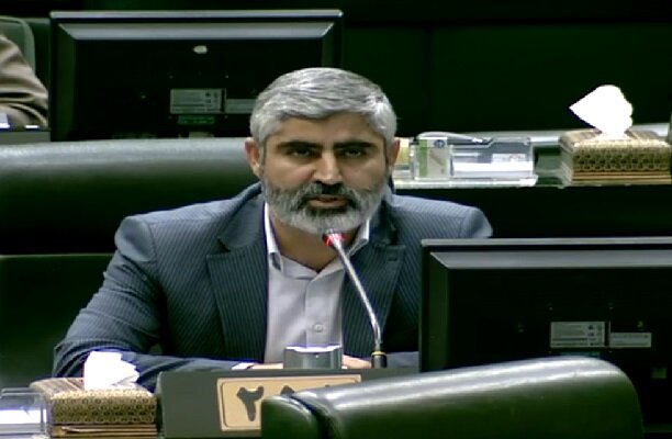 انتقاد نماینده مجلس از افزایش قیمت مرغ