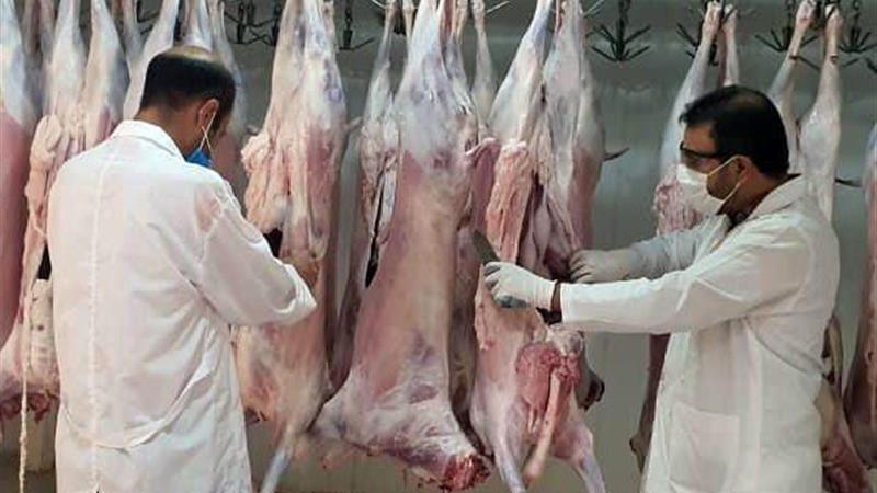 ۵۰ هزار و ۴۸۵ لاشه غیرقابل مصرف از کشتارگاههای زنجان ضبط شد