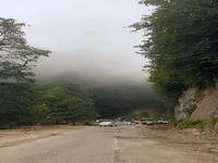 مسیر زیبای جنگل دالخانی در مازندران