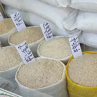 وضعیت نابسامان بازار برنج؛ وزارت جهاد: وارد می‌کنیم