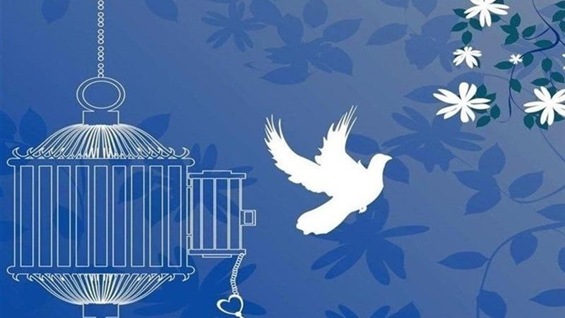 آزادی زندانی نیازمند توسط مادر یک شهید به مناسبت هفته دفاع