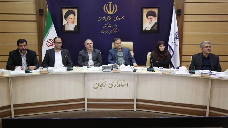 اصلاح زنجیره تامین گوشت قرمز در اولویت کارگروه تنظیم بازار زنجان است