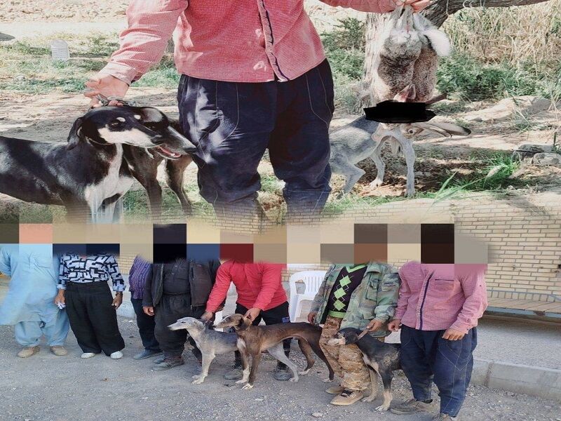 شکار به روش باستانی در مشهد ناکام ماند