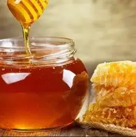 عسل بر هر درد بی‌درمانی دوا است