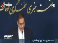 جزئیات پرونده کلاهبرداری موبایل موسوی از زبان سخنگوی قوه قضائیه