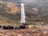 آبشار زیبای «تودارک» در مازندران