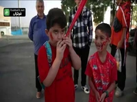 حواشی بازی پرسپولیس و ملوان