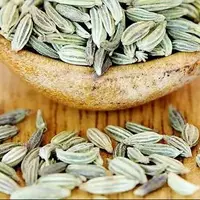 رازیانه را با این موارد مصرف نکنید!