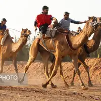بورسیه جهانی برای شترسواری ایران توسط کمیته ملی المپیک سوخت!