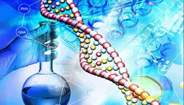 راهکارهای نانویی تبدیل الکل‌ها به ترکیبات صنعتی کلیدی بررسی شد
