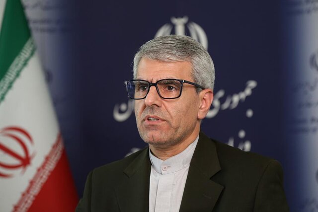 پیام سخنگوی وزارت خارجه به مناسبت بزرگداشت مولانا