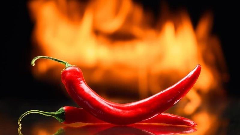 ساخت چاشنی ضدتندی از مولکول‌های فلفل