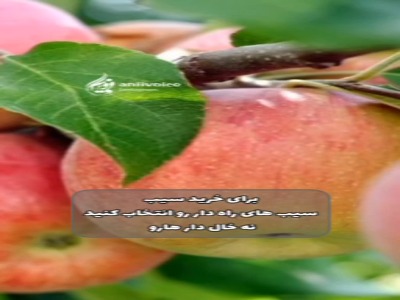 تکنیک‌هایی برای خرید میوه