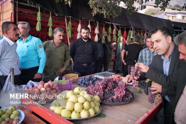 عکس/ جشنواره سیب و انگور سی سخت با حضور وزیر میراث فرهنگی